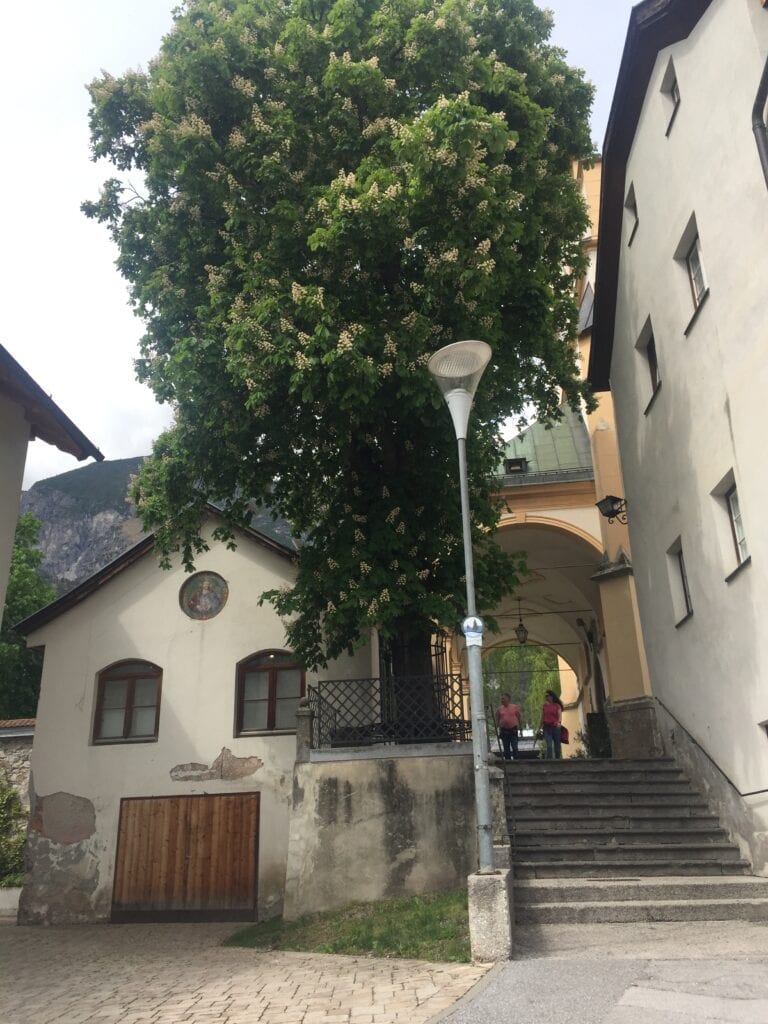 Absamer Basilika mit Kastanienbaum
